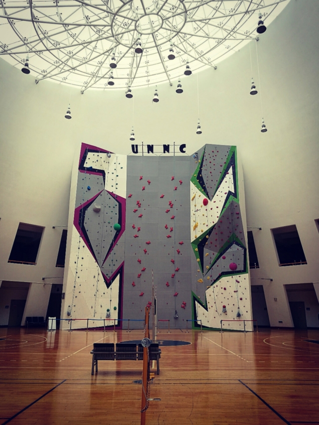 关于布鲁克林篮网训练开放日；集结日门线救险引欢呼；法甲在即；资深球员宣示担当的信息